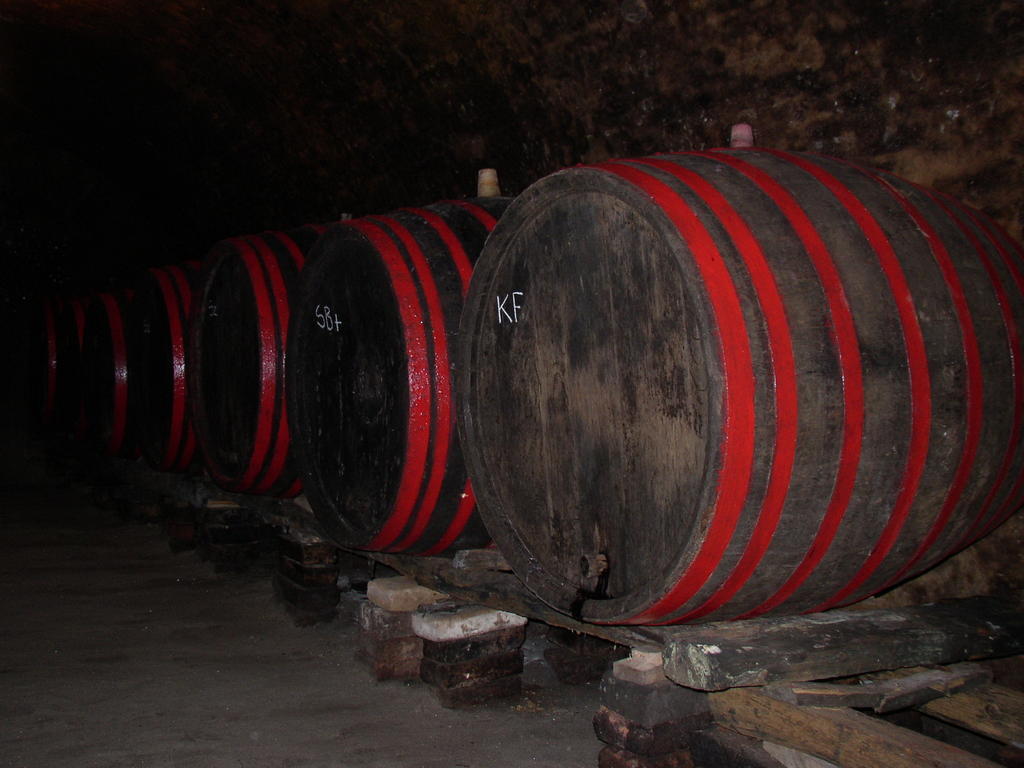 Podrumi Kolar "Suza Baranje" Kneževi Vinogradi Exterior foto